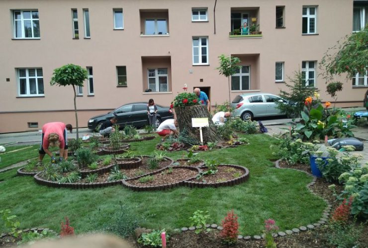 Jedna z inicjatyw lokalnych: rewitalizacja podwórka przy ul. Kościuszki/ Szeligiewicza/ Narcyzów/ Różana